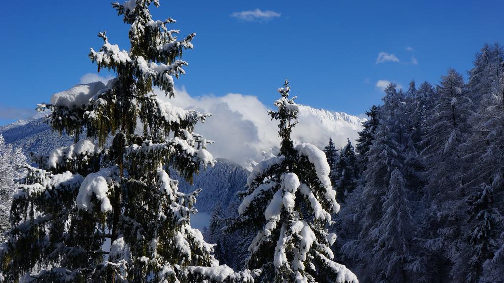 Appartements Alpenblick Finkenberg Kültér fotó
