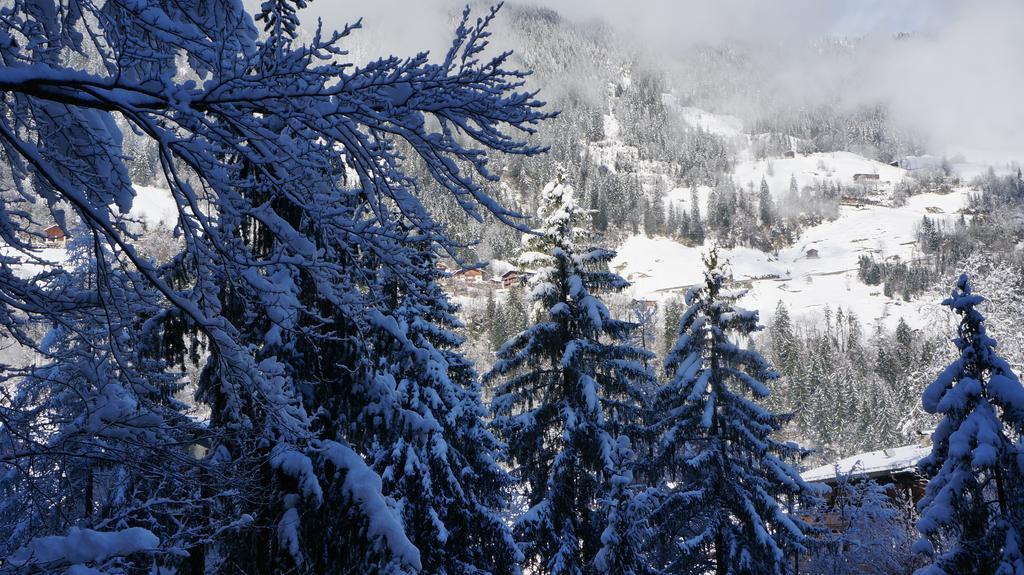 Appartements Alpenblick Finkenberg Kültér fotó
