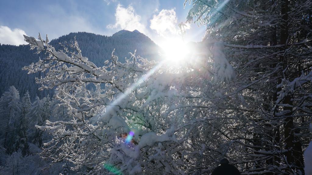 Appartements Alpenblick Finkenberg Kültér fotó